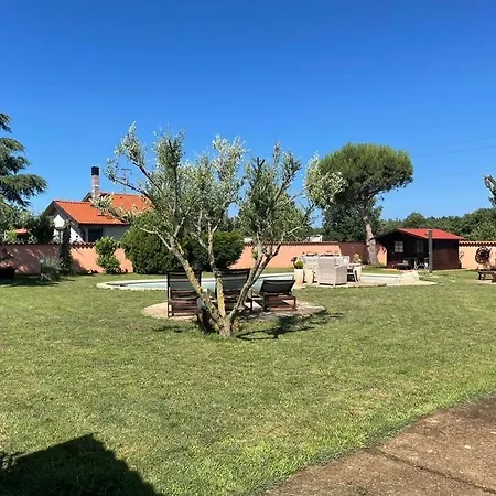 Lovely With Pool And Garden Medulin